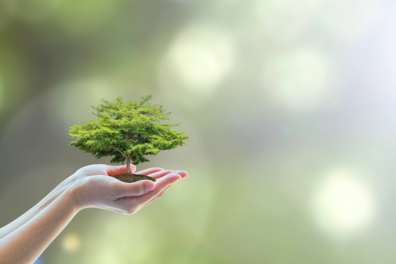 Decluttering with a Conscience: Responsible Packaging and Cardboard Disposal